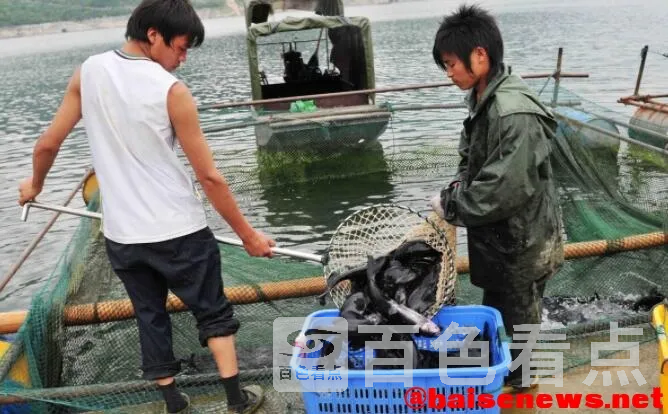 QQ截图20211102184228.webp