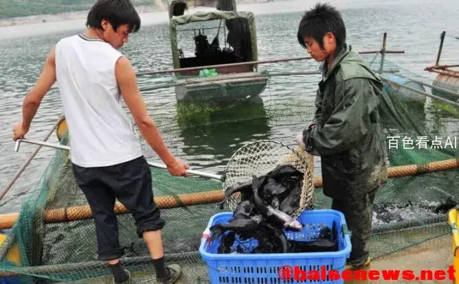 QQ截图20211102184228.webp