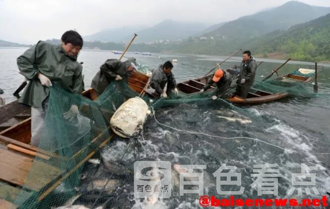 QQ截图20211102184148.webp