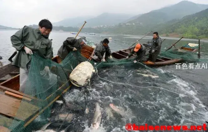 QQ截图20211102184148.webp