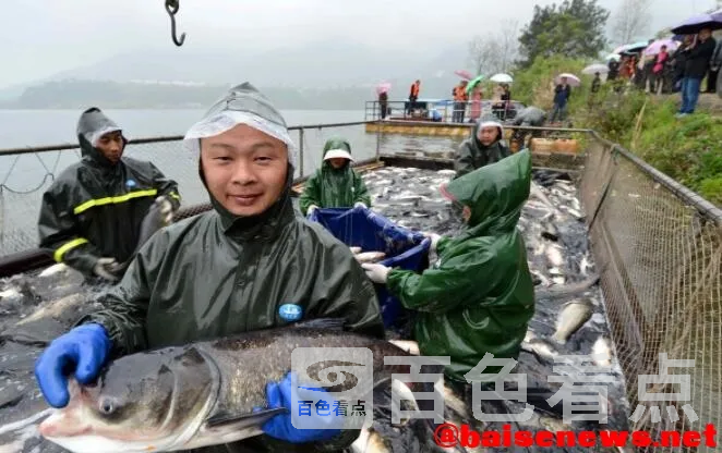 QQ截图20211102184157.webp