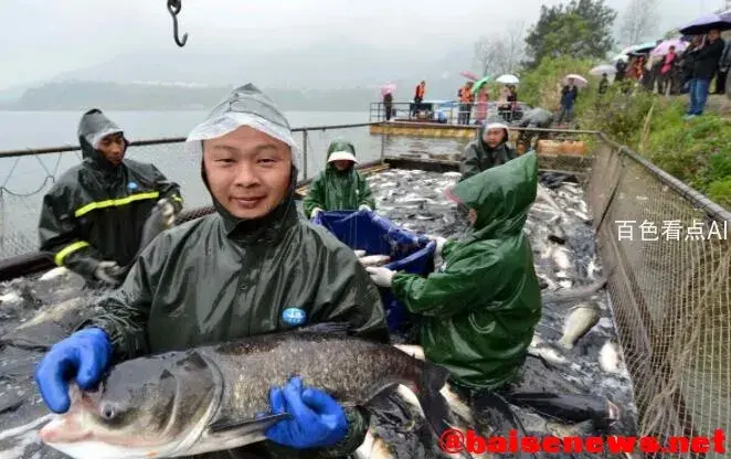 QQ截图20211102184157.webp