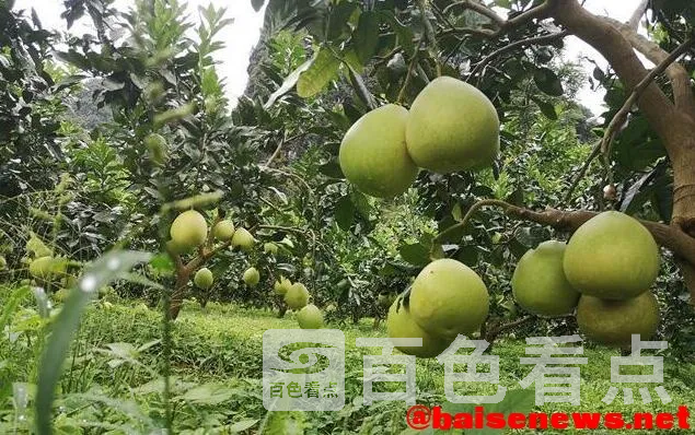 QQ截图20211106233126.webp