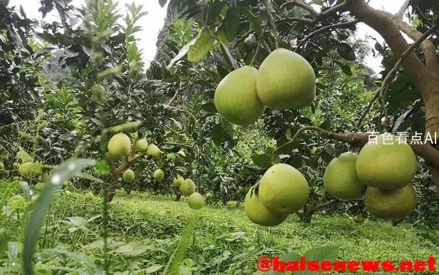 QQ截图20211106233126.webp