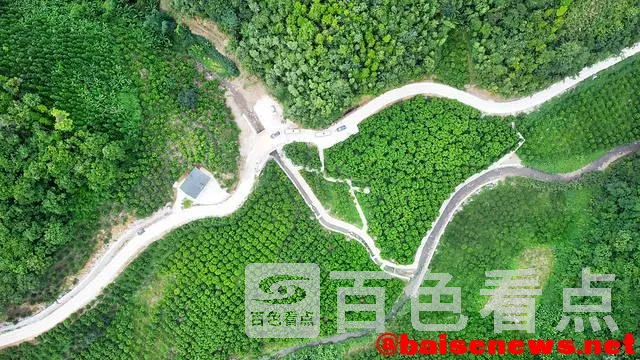 445a-7dae201ff2a8e084e2265f144c480f1e.webp