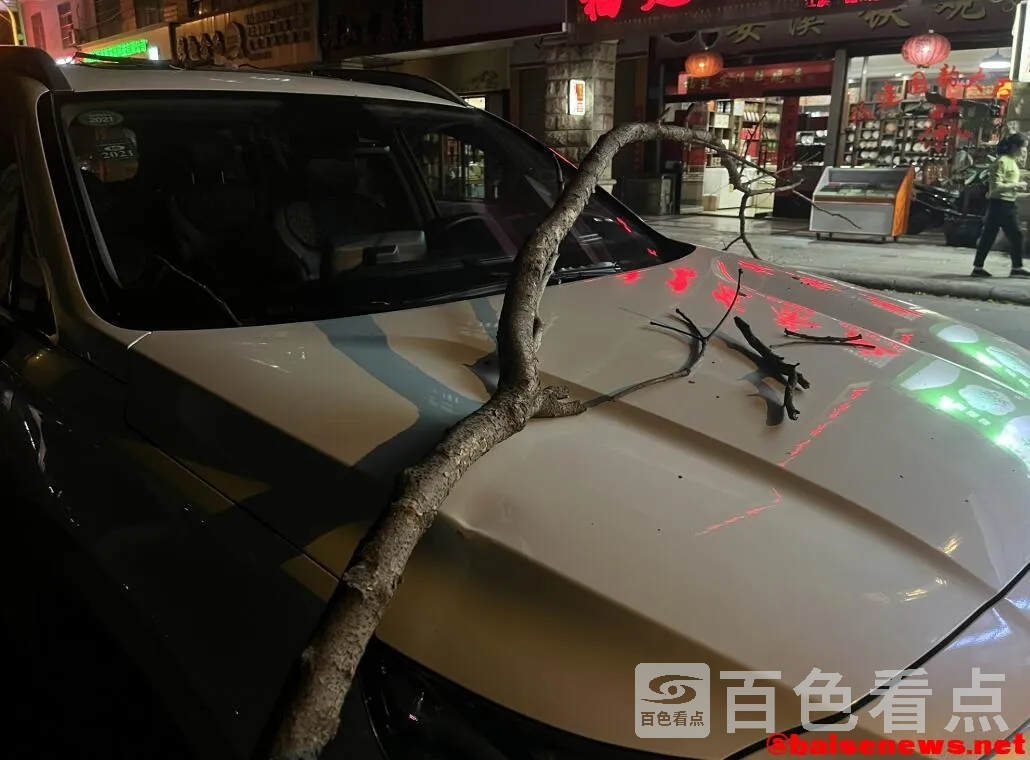 QQ截图20211109122622.webp
