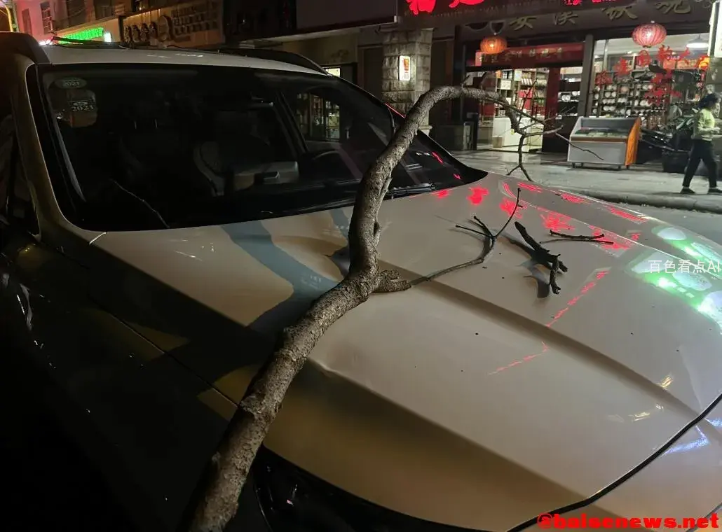 QQ截图20211109122622.webp