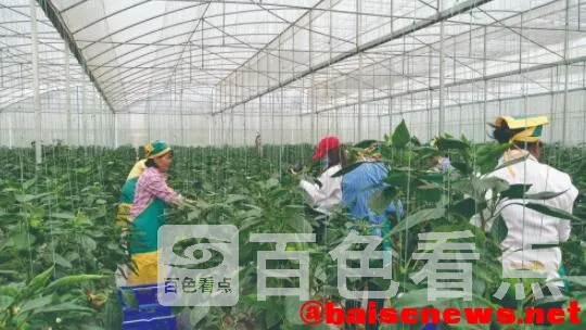 QQ截图20211112221127.webp