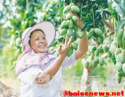 QQ截图20211112221236.webp