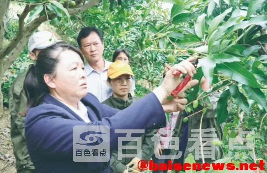 QQ截图20211112221244.webp