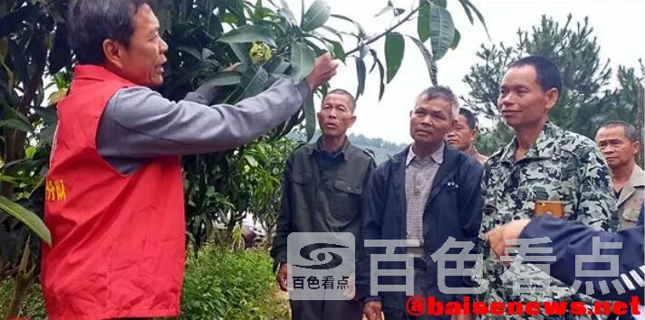 QQ截图20211117180255.webp