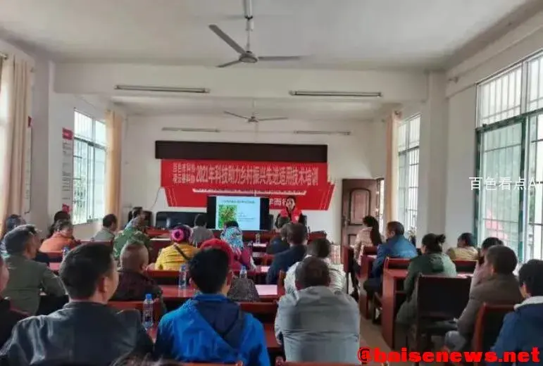 QQ截图20211117180303.webp