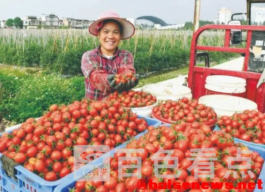 QQ截图20211123162842.webp