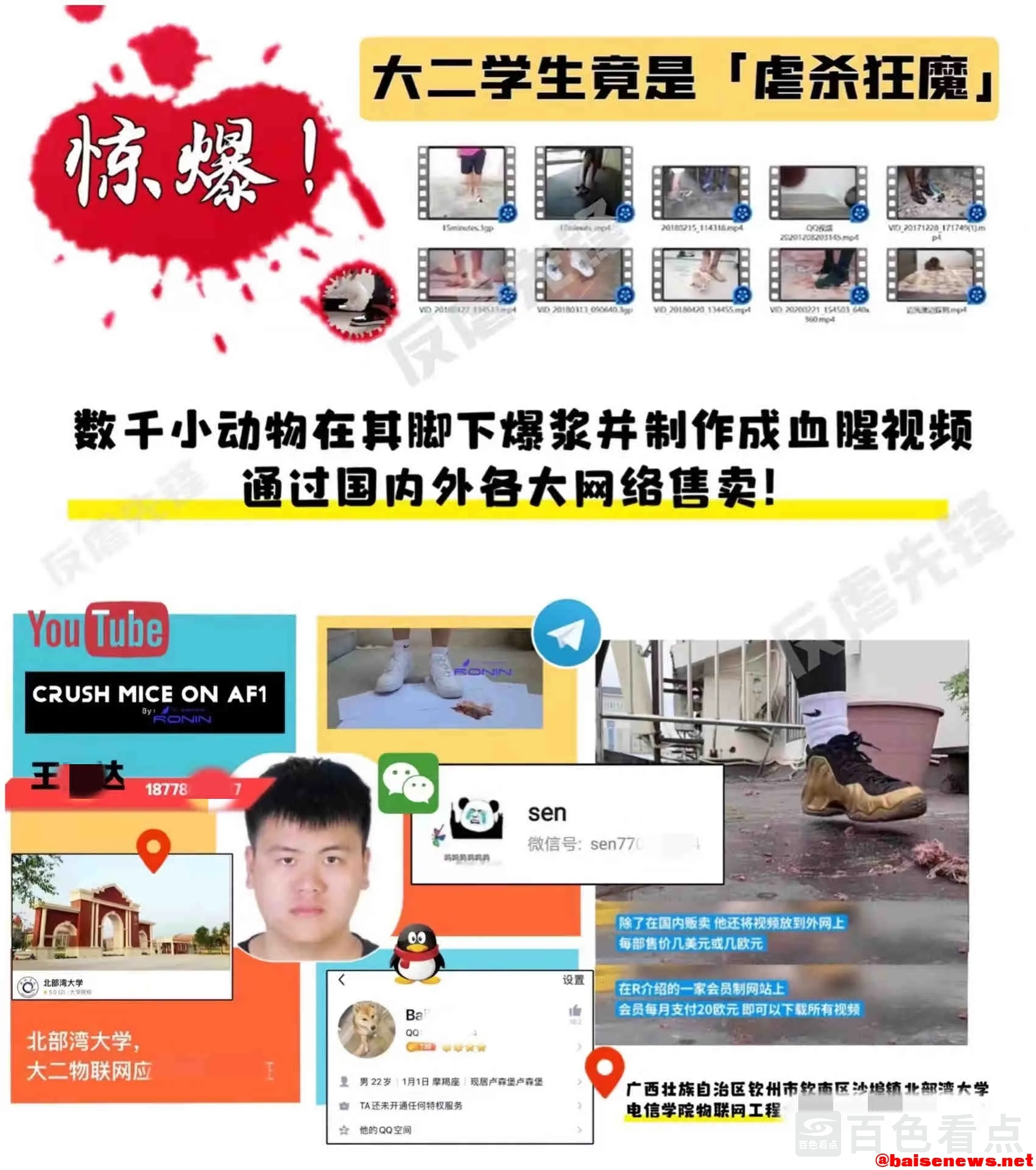 微信图片_20211203153746_副本.webp