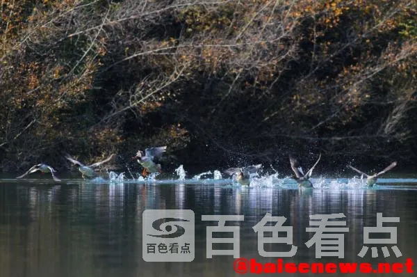 1405682959301625213.webp