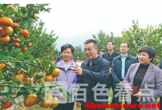 QQ截图20211212133431.webp