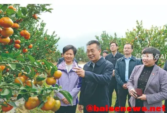 QQ截图20211212133431.webp
