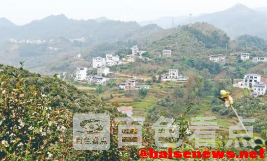 QQ截图20211225124514.webp