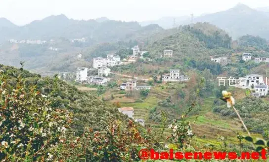 QQ截图20211225124514.webp