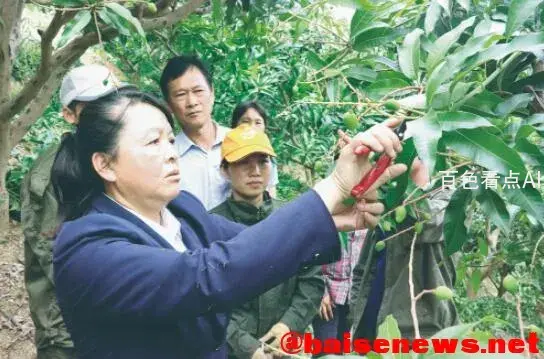 QQ截图20220101154059.webp