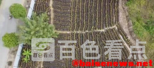 QQ截图20220106011941.webp