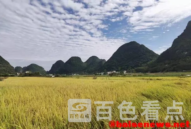 QQ截图20220107175244.webp