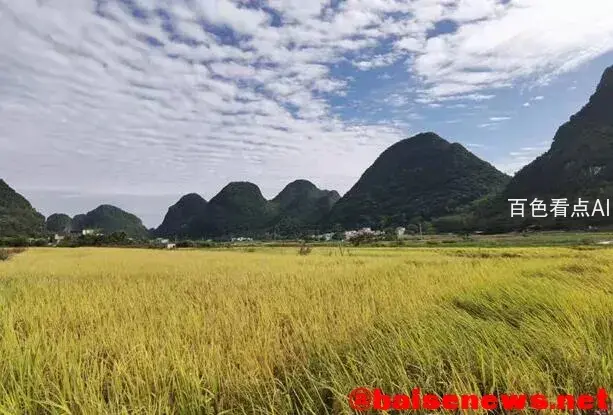 QQ截图20220107175244.webp