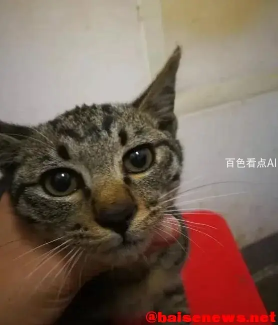 QQ截图20220112012549.webp