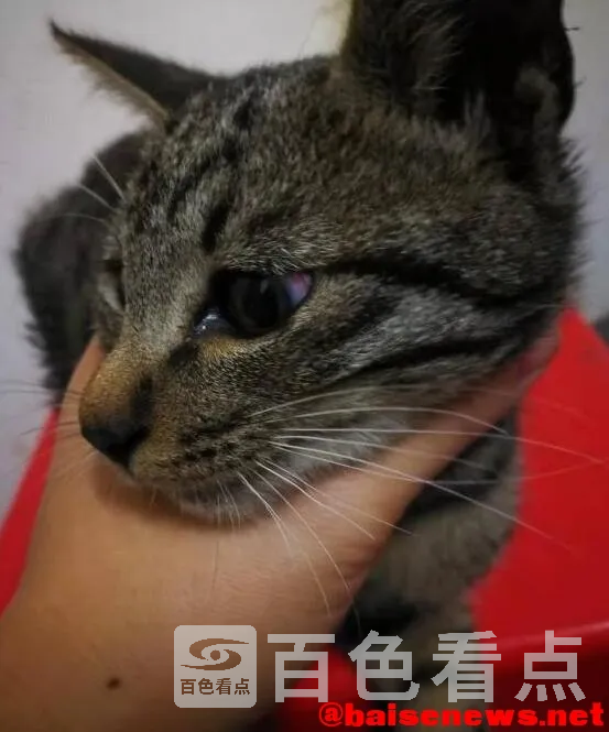 QQ截图20220112012557.webp