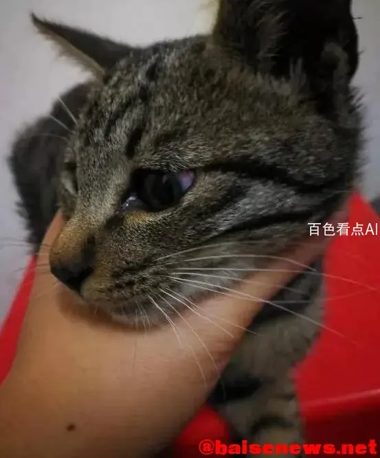 QQ截图20220112012557.webp