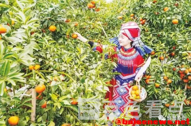 QQ截图20220123211218.webp