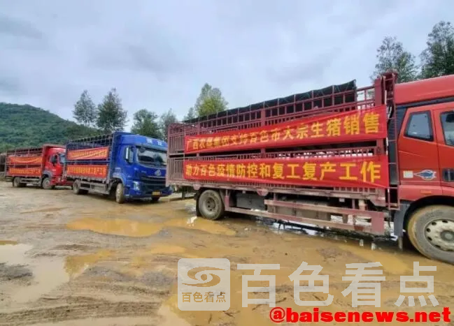 QQ截图20220225020430.webp