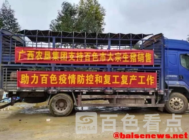 QQ截图20220225020424.webp