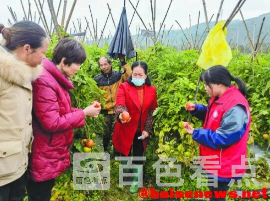 QQ截图20220302105110.webp