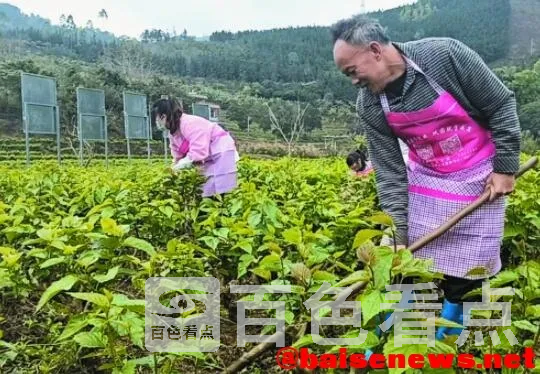 QQ截图20220302105321.webp
