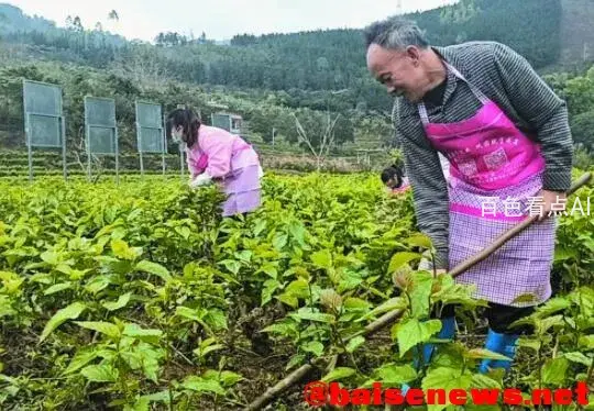 QQ截图20220302105321.webp