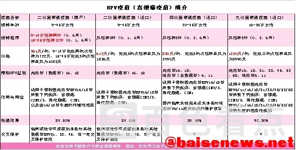 4.webp
