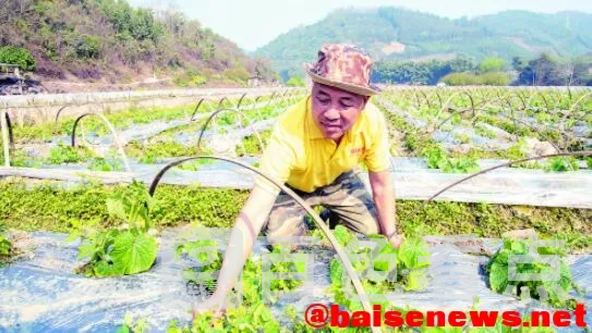 QQ截图20220307164255.webp