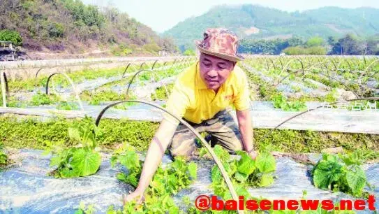 QQ截图20220307164255.webp