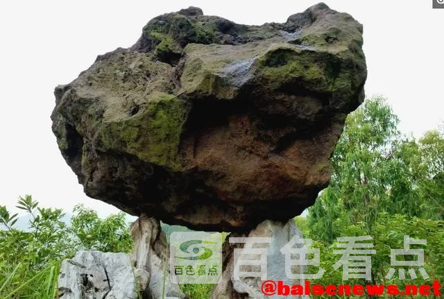 u=2941748025,3929948448&amp;fm=173&amp;app=49&amp;f=JPEG.webp