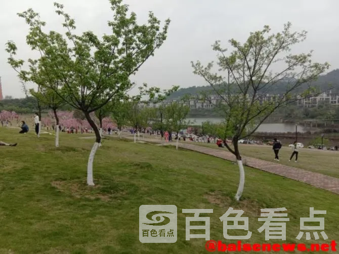 11.webp