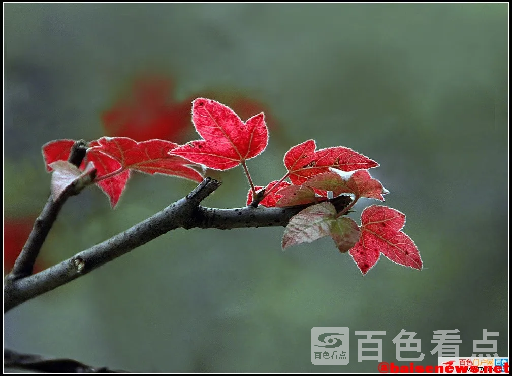 163525km4zdqdd64zt54tn.webp