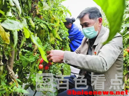 QQ截图20220314083811.webp