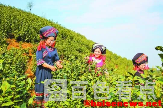 QQ截图20220316165703.webp