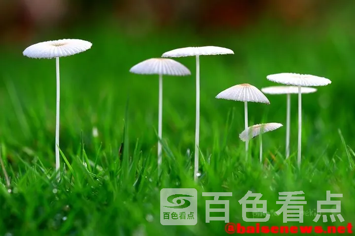 09071671.webp