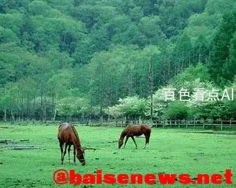 110_200908041132511d06J.webp