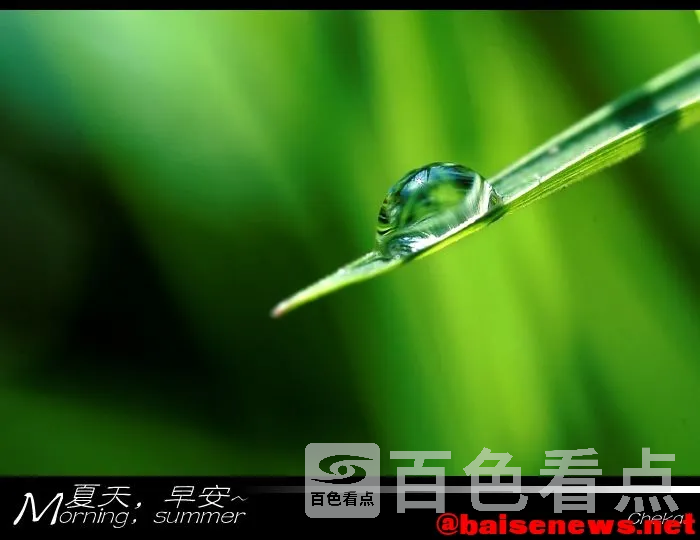 09081061.webp