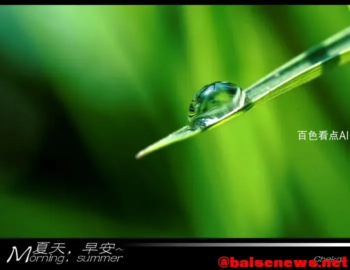09081061.webp