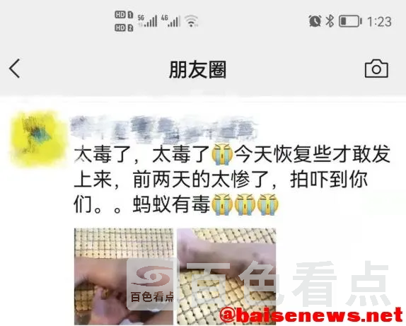 2.webp