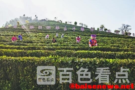 QQ截图20220323111533.jpg